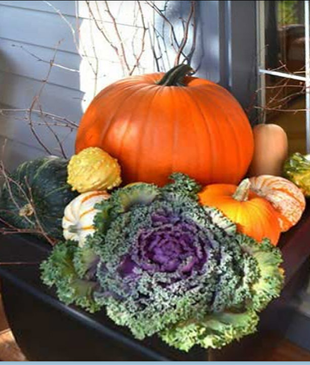 Autumn display with orange pumpkin, ornamental kale, and colorful gourds in a dark planter
