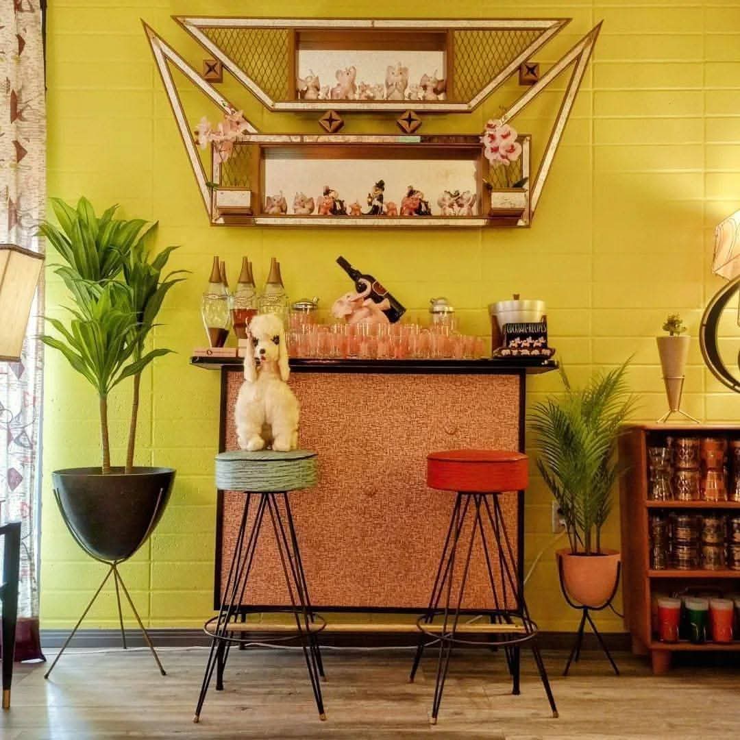 Bright yellow room with a home bar, plants, stools, shelves, and a dog sitting on a stool