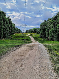 Park Path with Power Lines