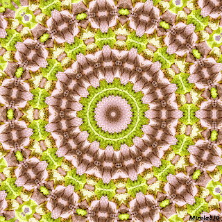 Green Brown Floral Mandala