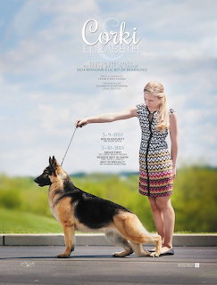 German Shepherd Dog