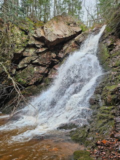 Waterfall cascading over large mosy rocks in a forested area with bare trees