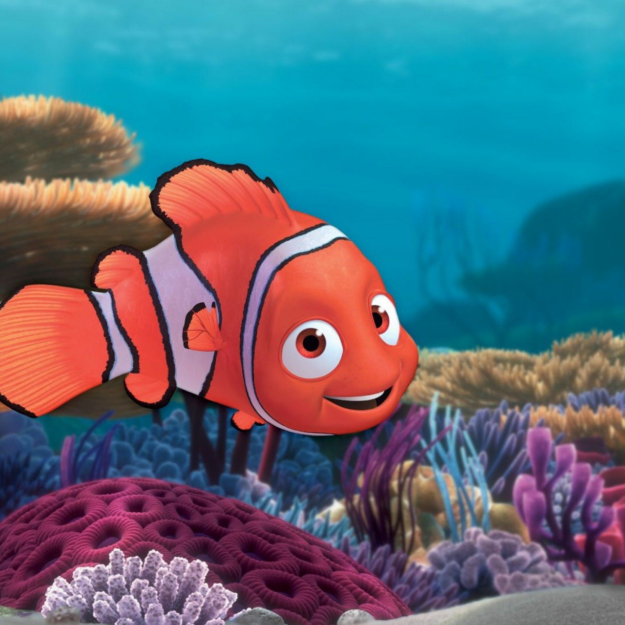 Orange and white clownfish with large eyes swimming above purple and tan coral reef in blue water