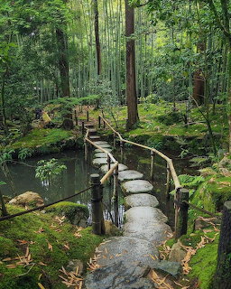 Japanese Bamboo Garden Path