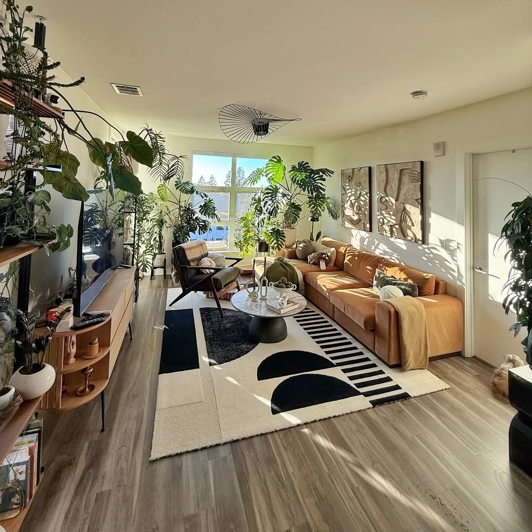 Plant Filled Modern Living