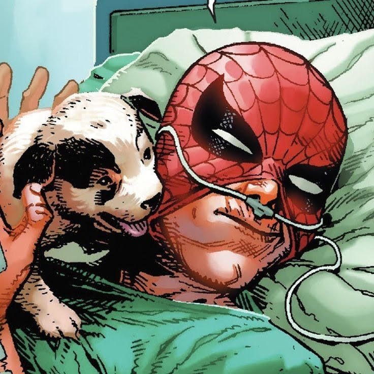 Spider-Man with Panda
