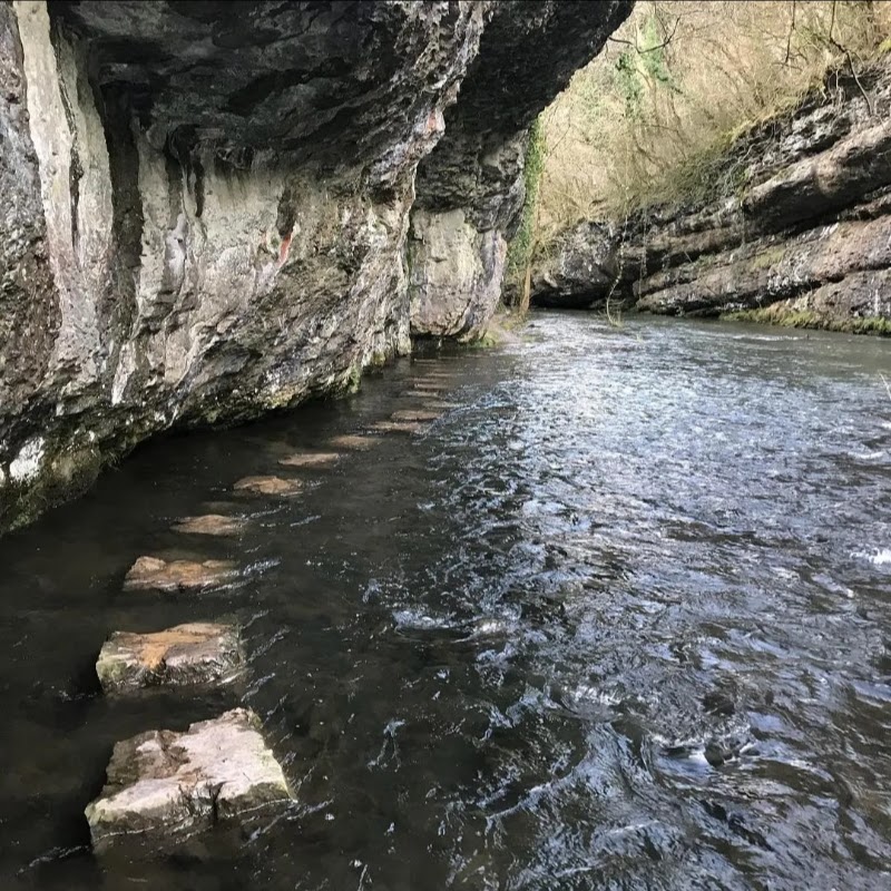 Stepping Stones River