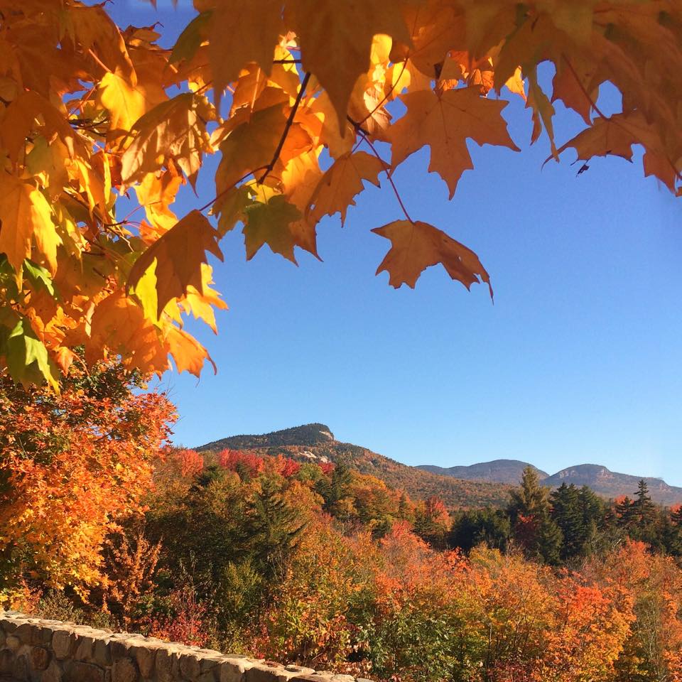 Orange maple leaves framing a mountain landscape with colorful fall foliage and blue sky