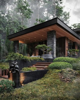 Modern House in Forest