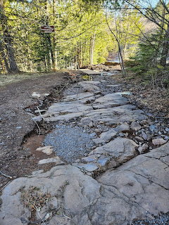 Rocky hiking trail with large flat stones and gravel winding through a forest with green and yellow foliage