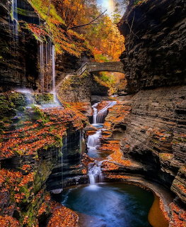 Autumn Gorge Waterfall