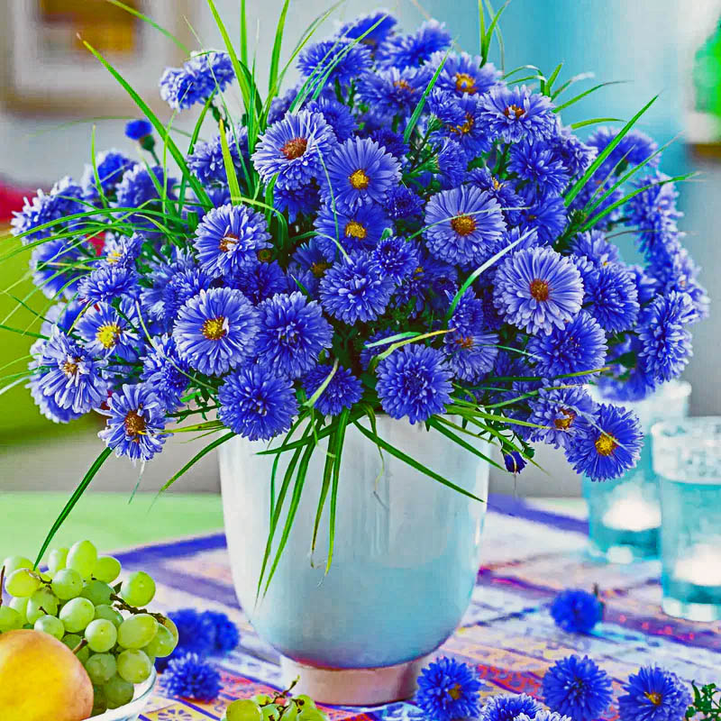 Blue aster bouquet in light blue vase on table with fruit