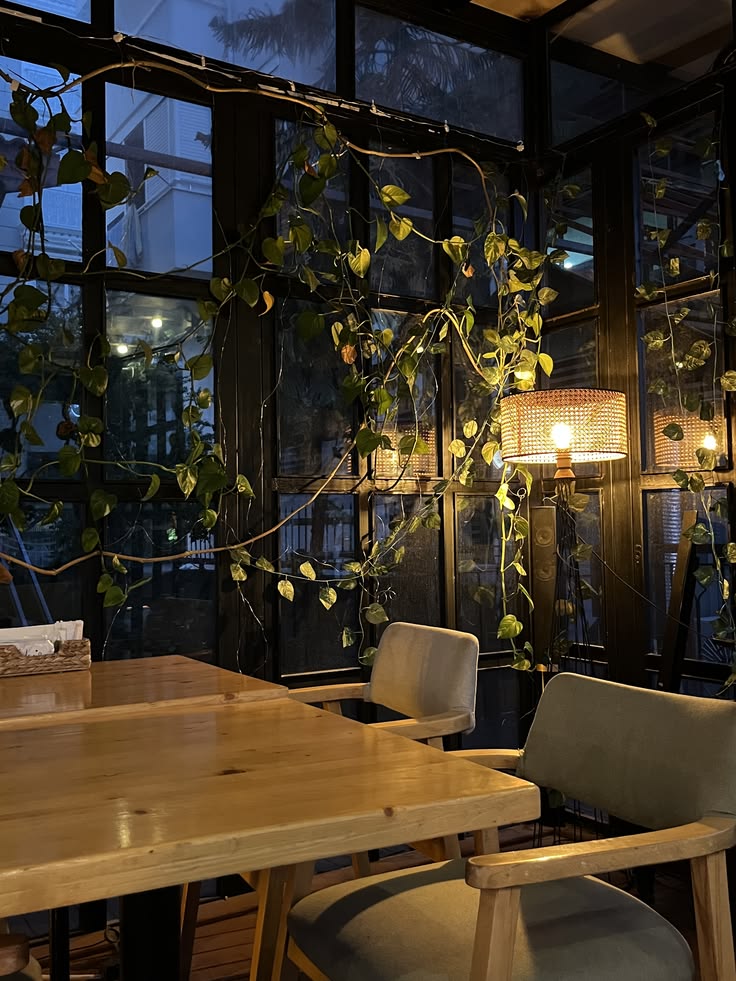 Dimly lit cafe interior with wooden table, chairs, hanging plants and large windows showing evening sky