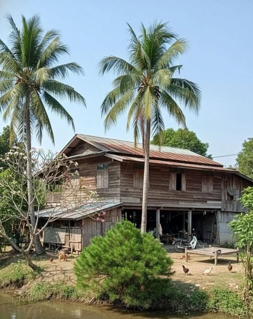 Tropical Wooden Stilt House