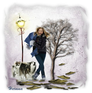 Woman walking husky dog in snow near bare tree and street lamp