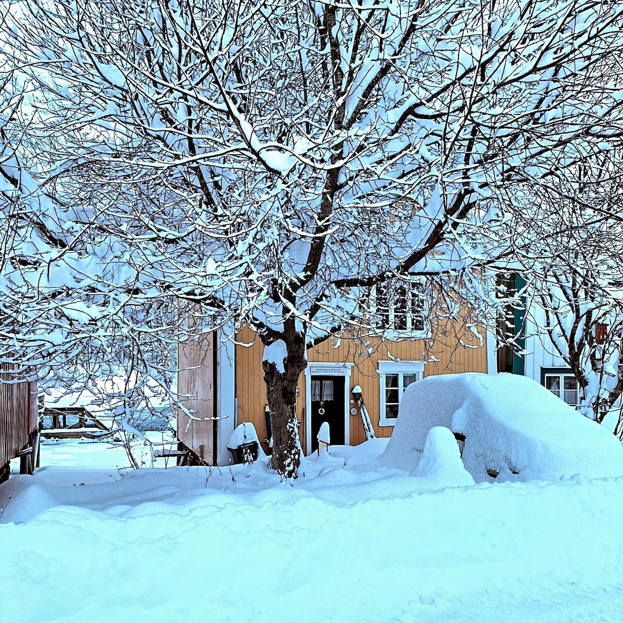 Bergen Winter Scene
