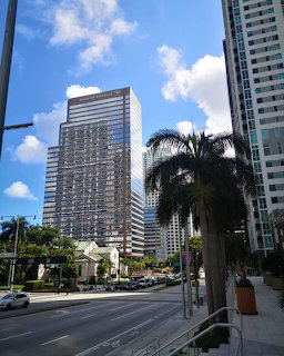 Downtown Miami street with glass skyscrapers and a palm tree under blue sky