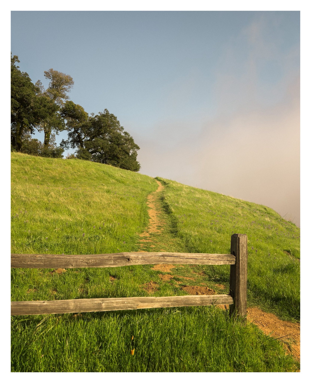 Hillside Landscape