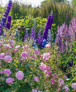 Mixed Flower Garden Border