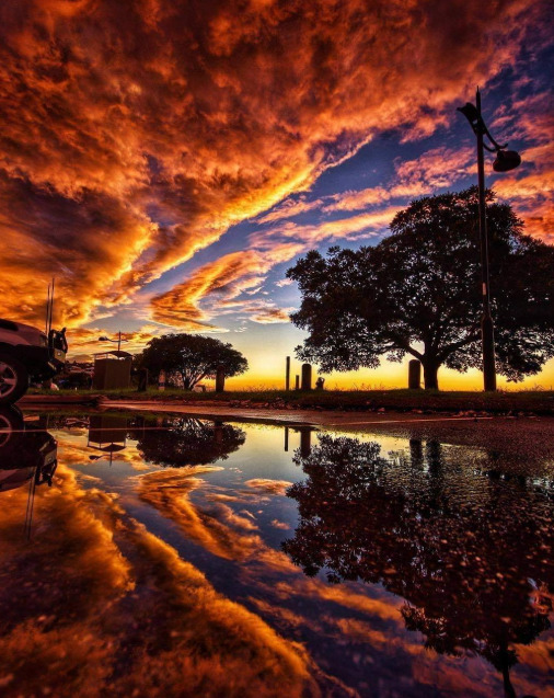 Dramatic sunset with fiery orange clouds reflected in wet ground, trees silhouetted against colorful sky