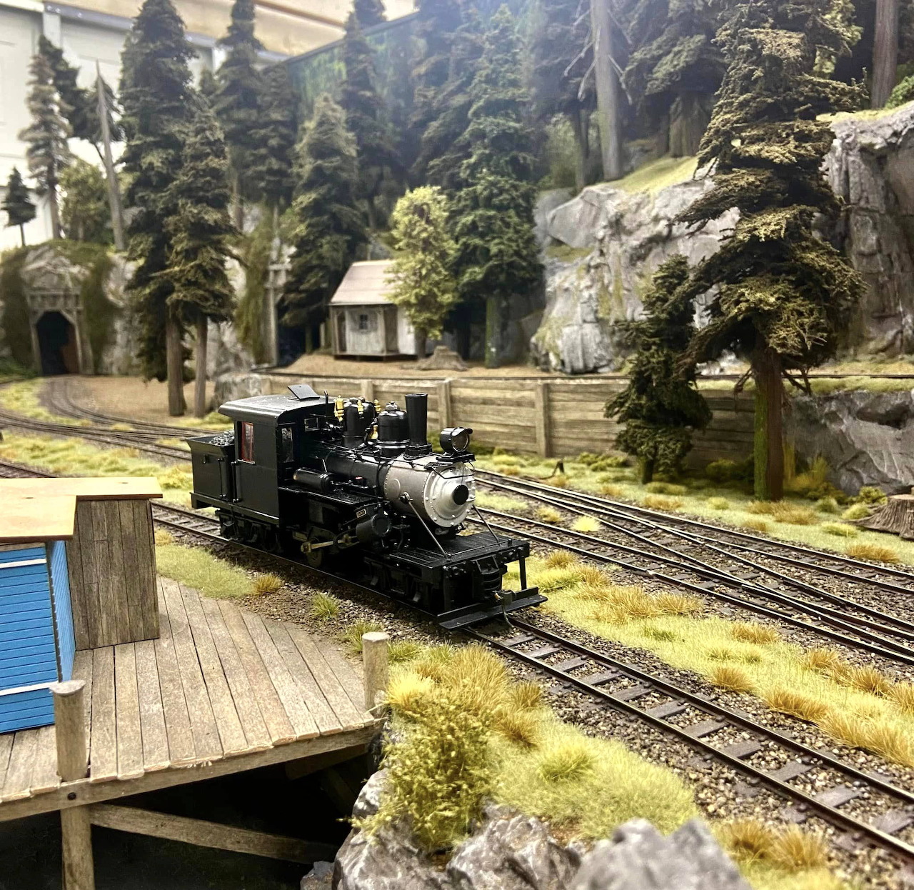 Black model steam locomotive on tracks in a miniature railway landscape with trees and rocks