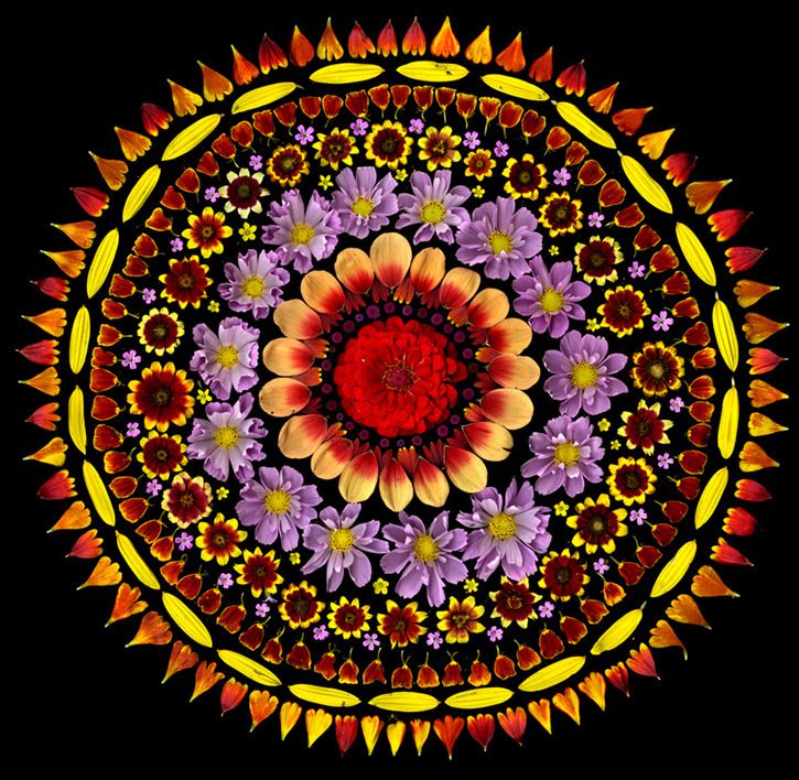 Colorful floral mandala with sunflower center, purple flowers, and radiating geometric patterns on black background