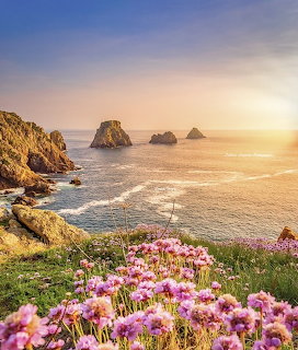 Coastal sunset scene with rocky sea stacks, pink wildflowers, and golden sky over ocean waters in Finistère