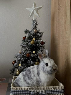 Gray and white bunny in a basket next to a small Christmas tree with star topper