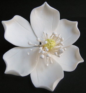 Southern Magnolia Blossom