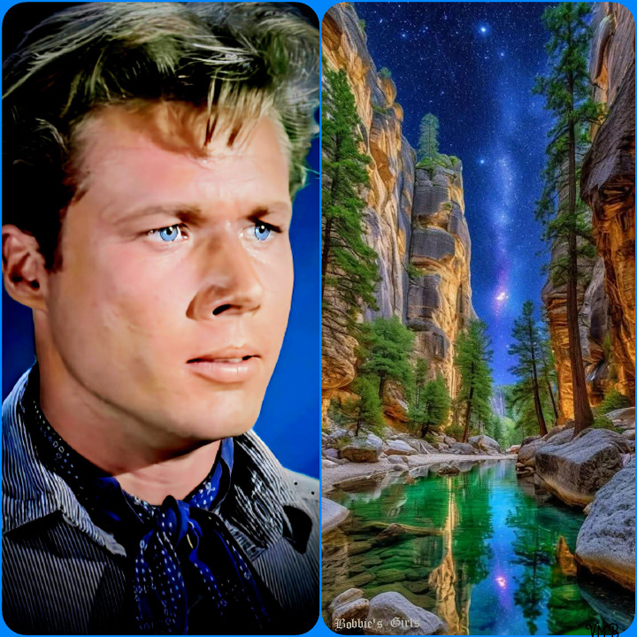 Man and Canyon Collage