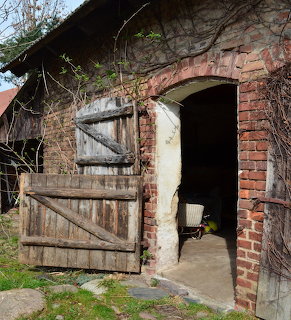 Weathered wooden barn door hanging open on old brick building with overgrown vines