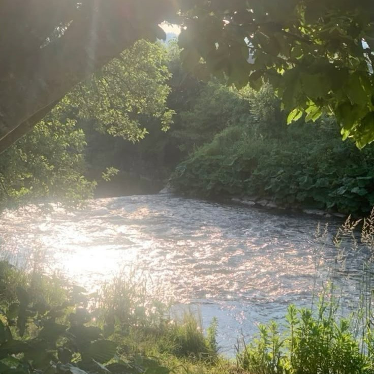 Sunlit River Through Trees