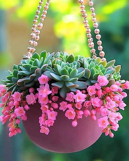 Pink hanging planter with green succulents and pink cascading flowers on beaded chains
