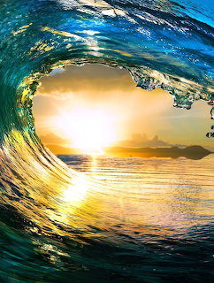 Curling ocean wave with sunlight glowing through translucent blue-green water at sunset