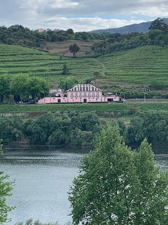 Douro Valley Vineyard Estate