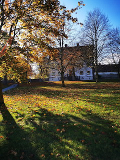 Autumn Trees and House