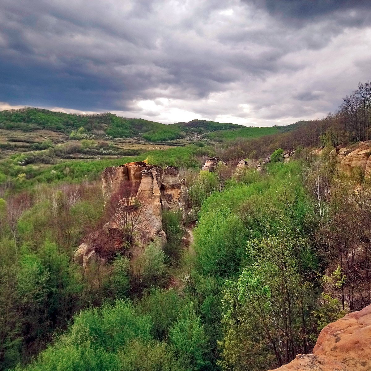 Rocky cliff formations with green vegetation under cloudy sky in Romanian valley
