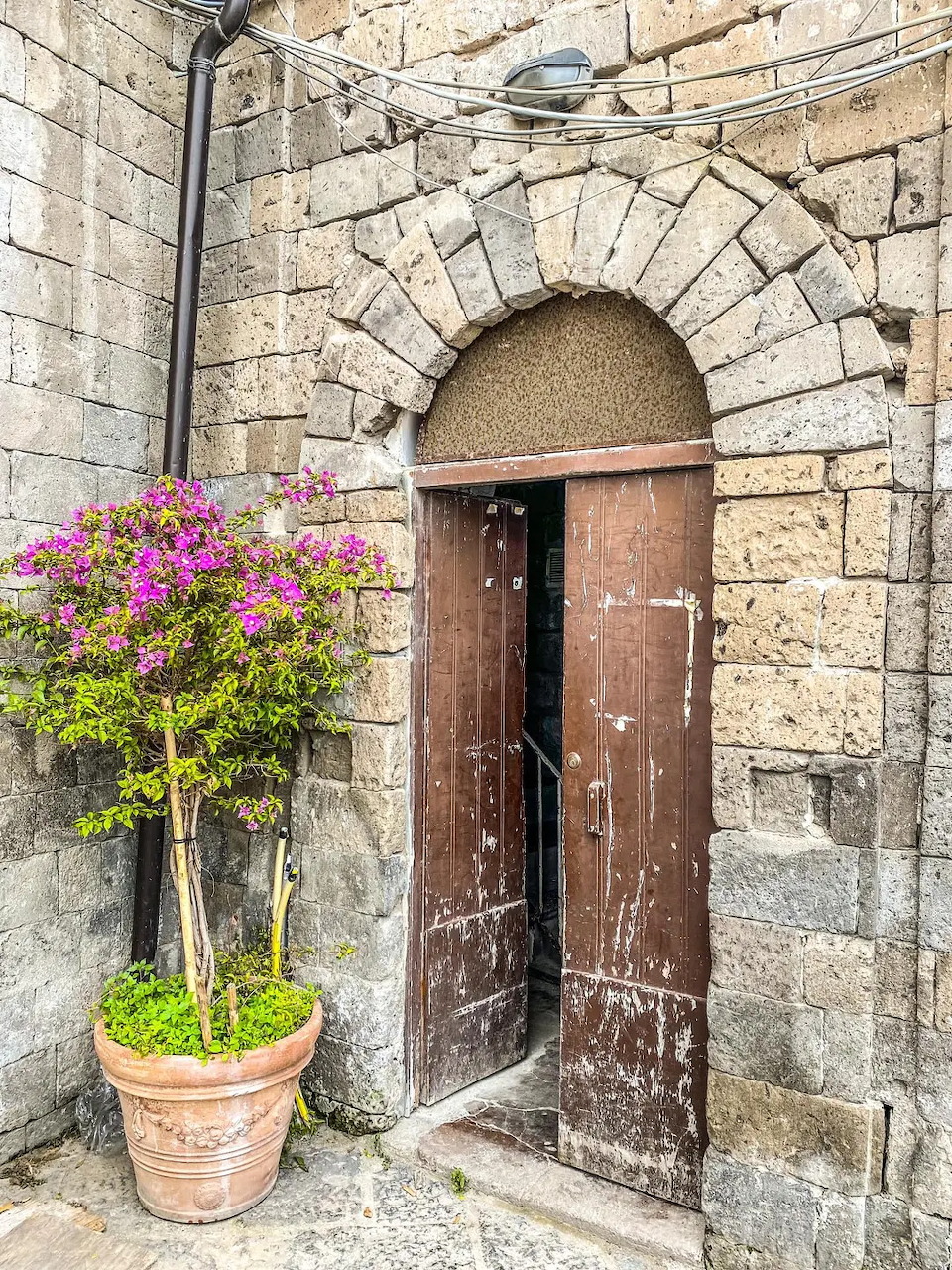 Old wooden double door in a stone wall beside a potted pink flowering plant