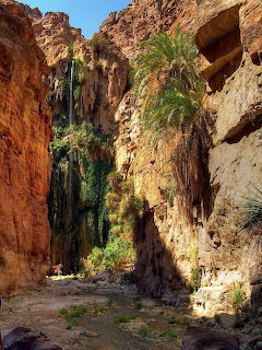 Waterfall flowing down red sandstone canyon walls with palm trees and green vegetation in a desert oasis
