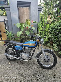 Blue Yamaha XS650 classic motorcycle parked on driveway with plants in background