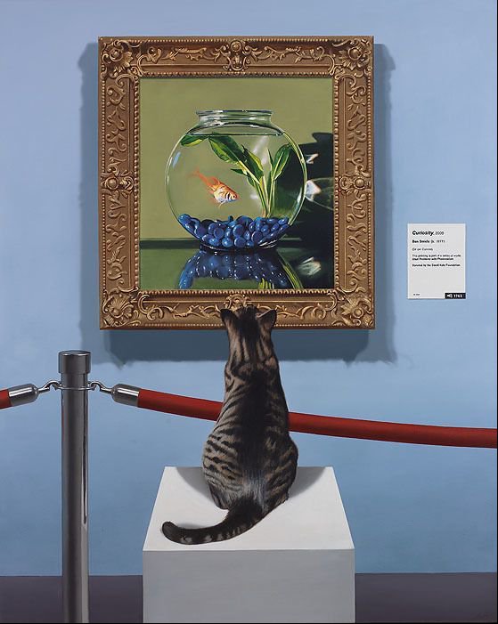 Cat Viewing Art in Museum