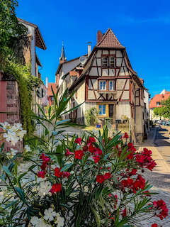 Old town street with half-timbered houses and red and white flowers in the foreground