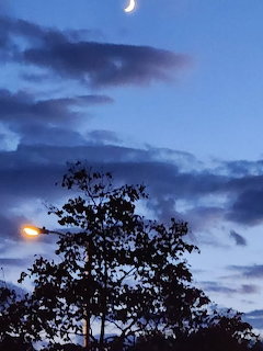 Crescent moon in dusky blue sky with clouds, silhouetted trees, and a lit street lamp