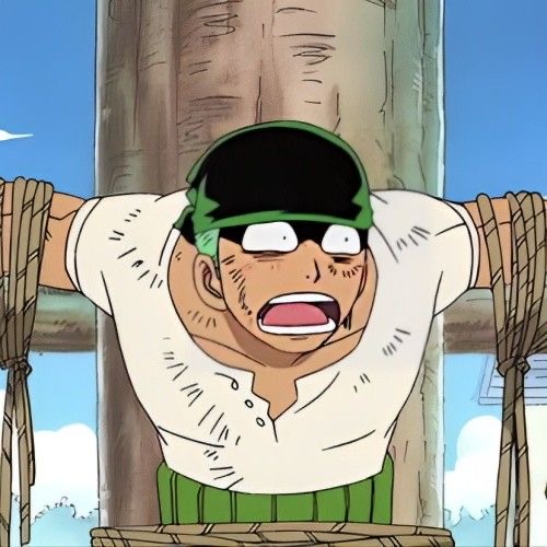 Zoro Tied Up