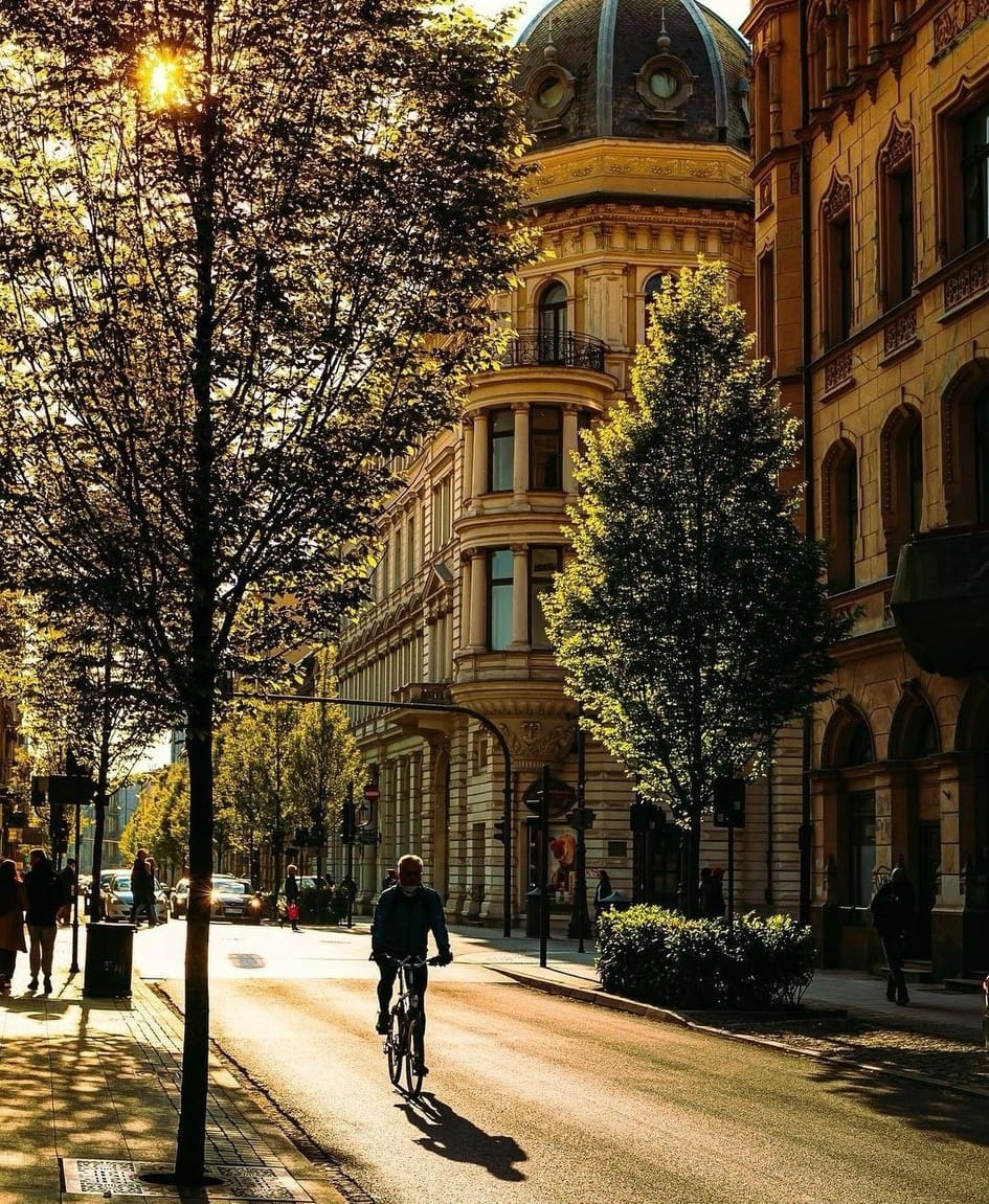 Cyclist on a golden sunlit street in Łódź, Poland, with historic buildings and trees