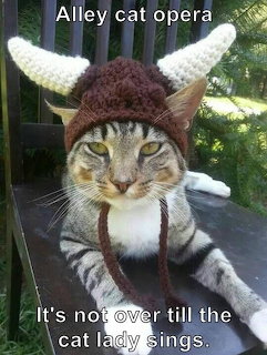 Tabby cat wearing a knitted horned hat while sitting on a chair, with meme text on the image.