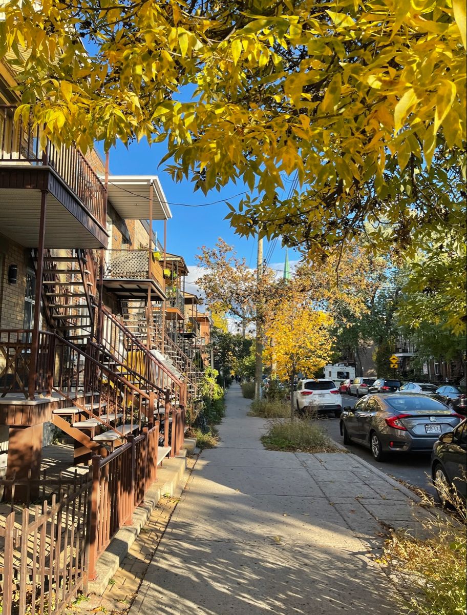 Tree-lined urban sidewalk with yellow autumn foliage, residential buildings with fire escapes, and parked cars