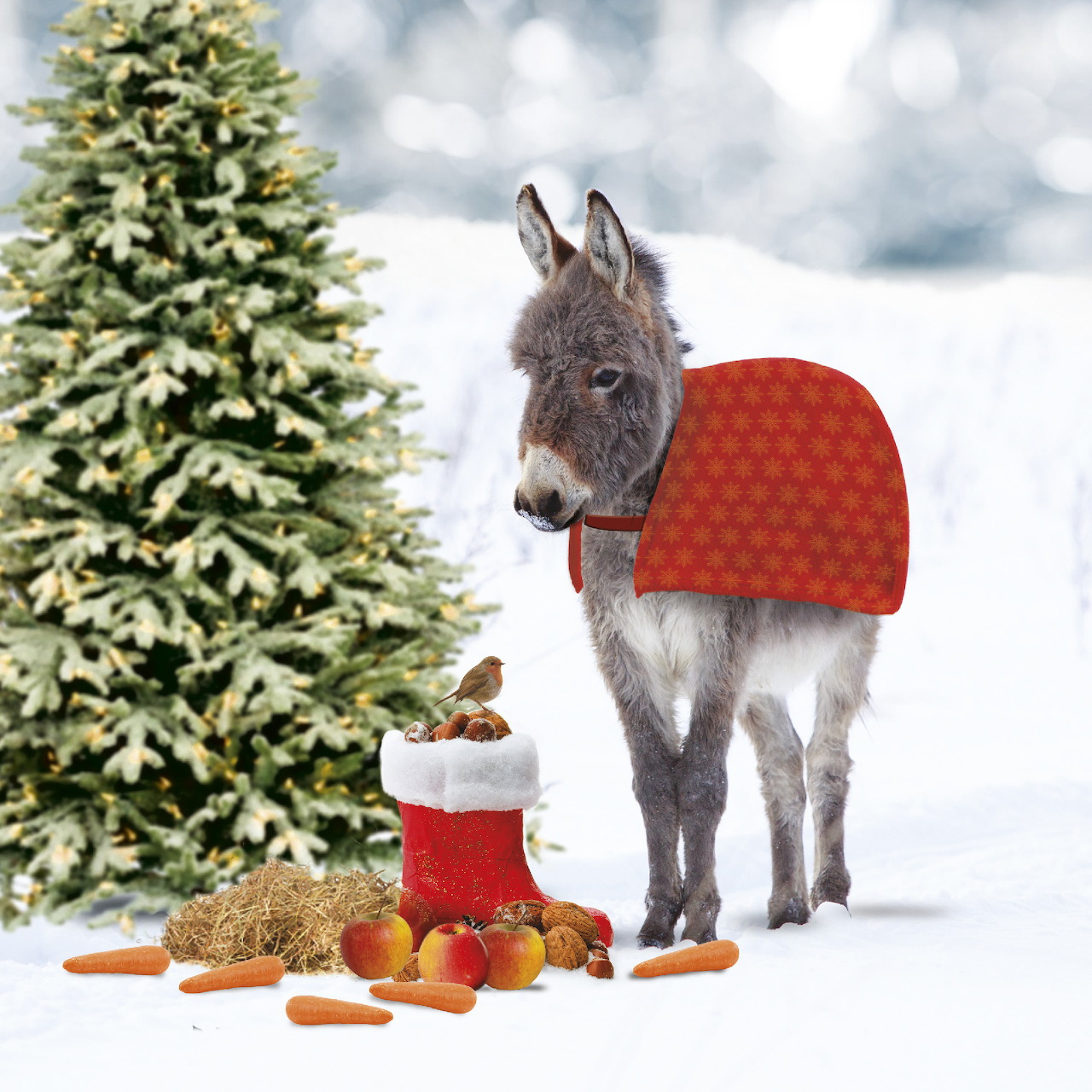 Christmas Donkey