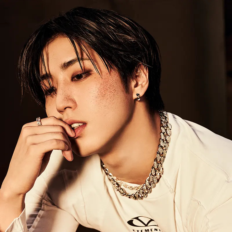 Stray Kids Han Portrait