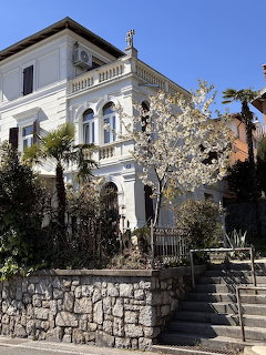 White Mediterranean villa with ornate facade, palm trees, and blooming white magnolia tree in front garden